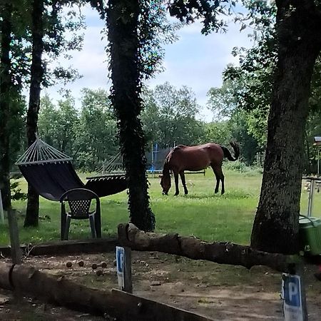 Maisonnette Pour Detente Ou Travail Saint-Aubin-de-Nabirat ภายนอก รูปภาพ