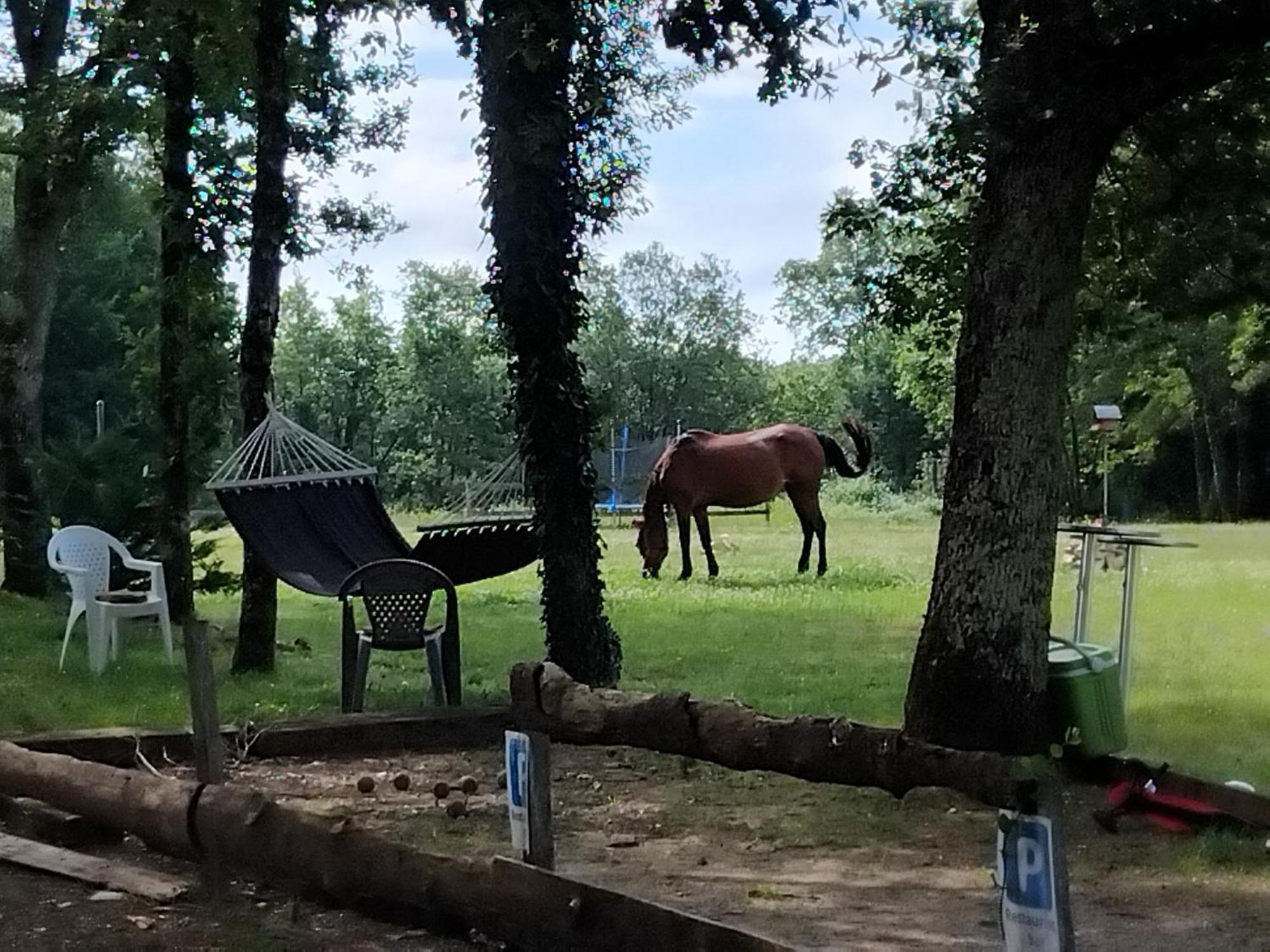 Maisonnette Pour Detente Ou Travail Saint-Aubin-de-Nabirat ภายนอก รูปภาพ